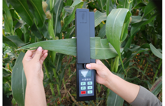 Portable leaf area meter