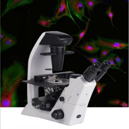 AST60/AST60-FL  Inverted microscope