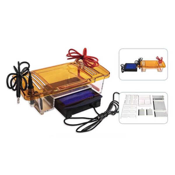 Integrated Blue Light Horizontal Electrophoresis System